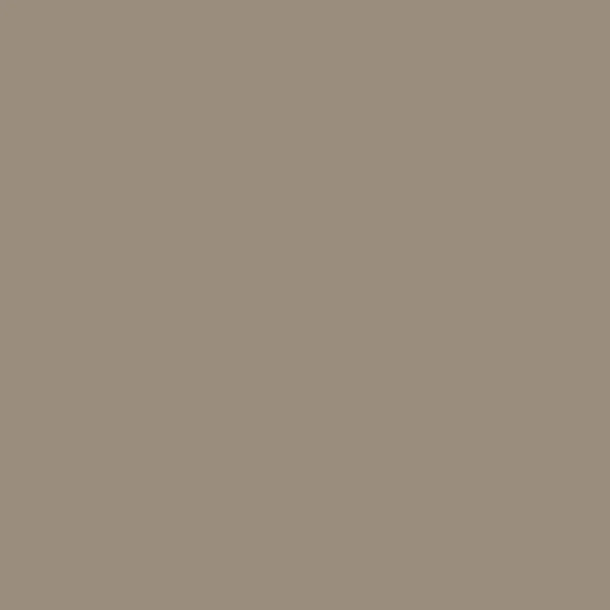 365 Trail Short - Chinchilla Brown - Image 9