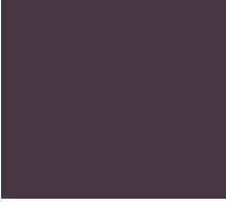 Kinsey Jacket - Deep Plum - Image 11