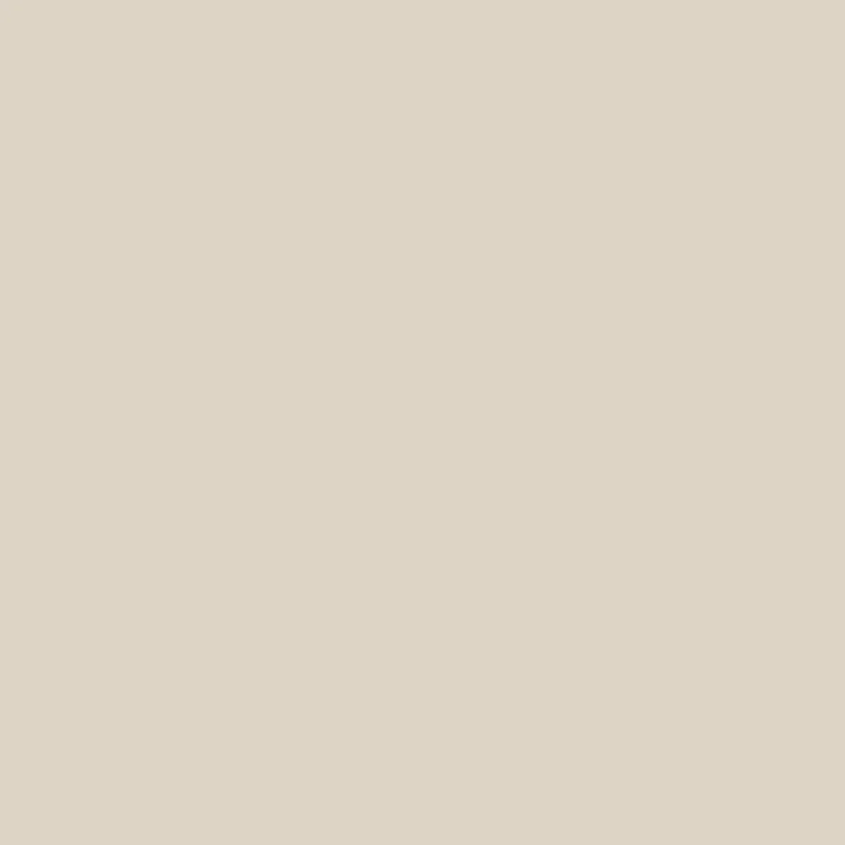 Odyssey Organic Cotton T-Shirt - Birch - Image 8